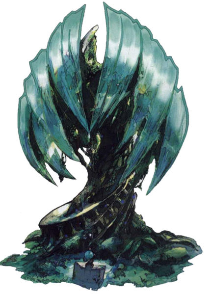 File:Myrrh tree.jpg