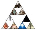 Trinity new logo base-5.JPG