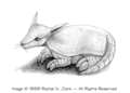 Thumbnail for version as of 14:04, 11 December 2007
